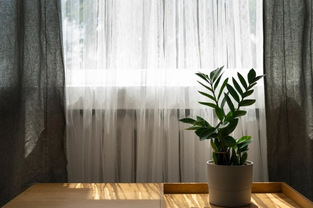 curtain colour ideas for living room