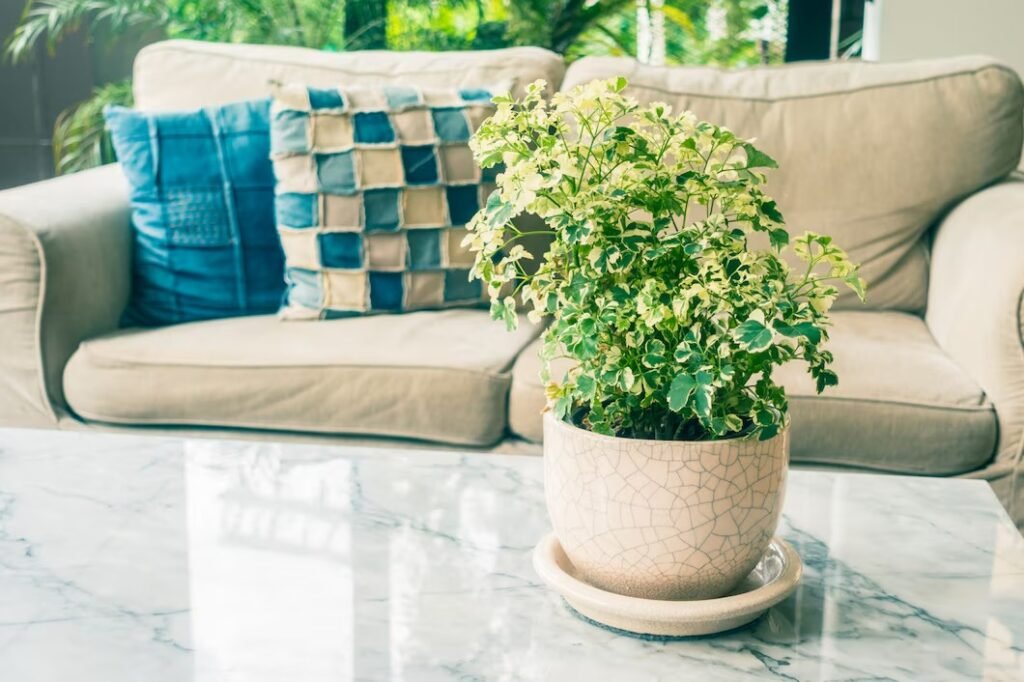 5c07e13a 1fe6 48d9 9423 0c65d89b9a21 Eco friendly interior design ideas cover