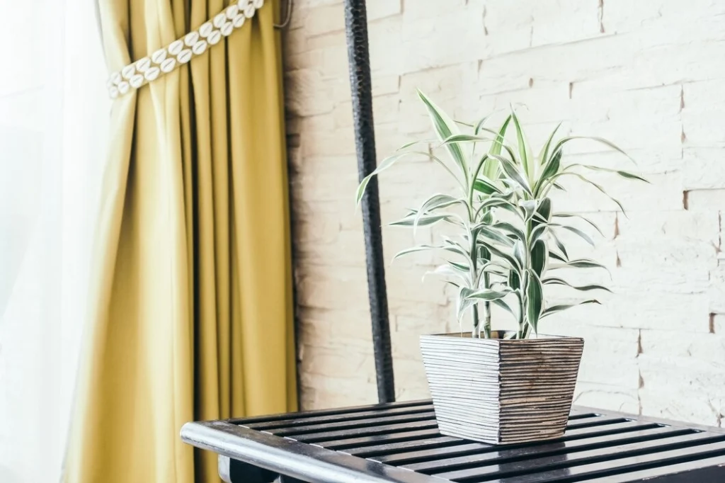 curtain colour ideas for living room