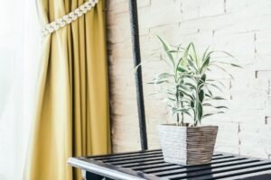curtain colour ideas for living room
